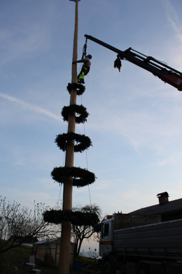 Buergermeisterbaum Aufstellung 2010 _26__jpg-1270750577