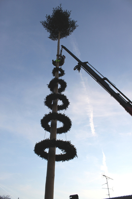 Buergermeisterbaum Aufstellung 2010 _27__jpg-1270750588