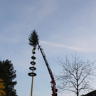 Buergermeisterbaum Aufstellung 2010 _29__jpg-1270750621