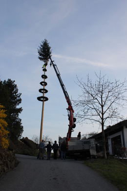 Buergermeisterbaum Aufstellung 2010 _29__jpg-1270750621