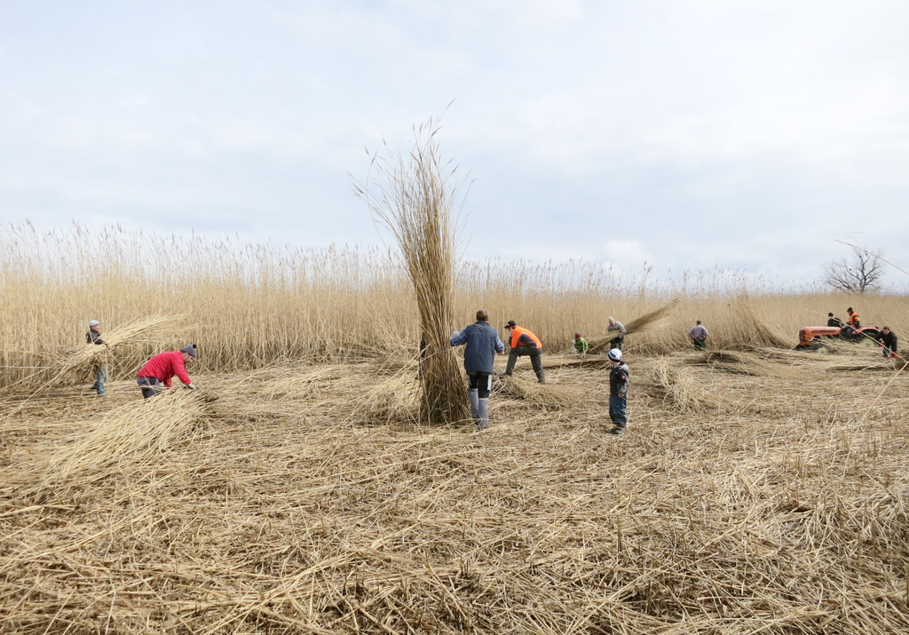 Funken 2014_0035.JPG