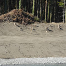 DSCN0659.JPG