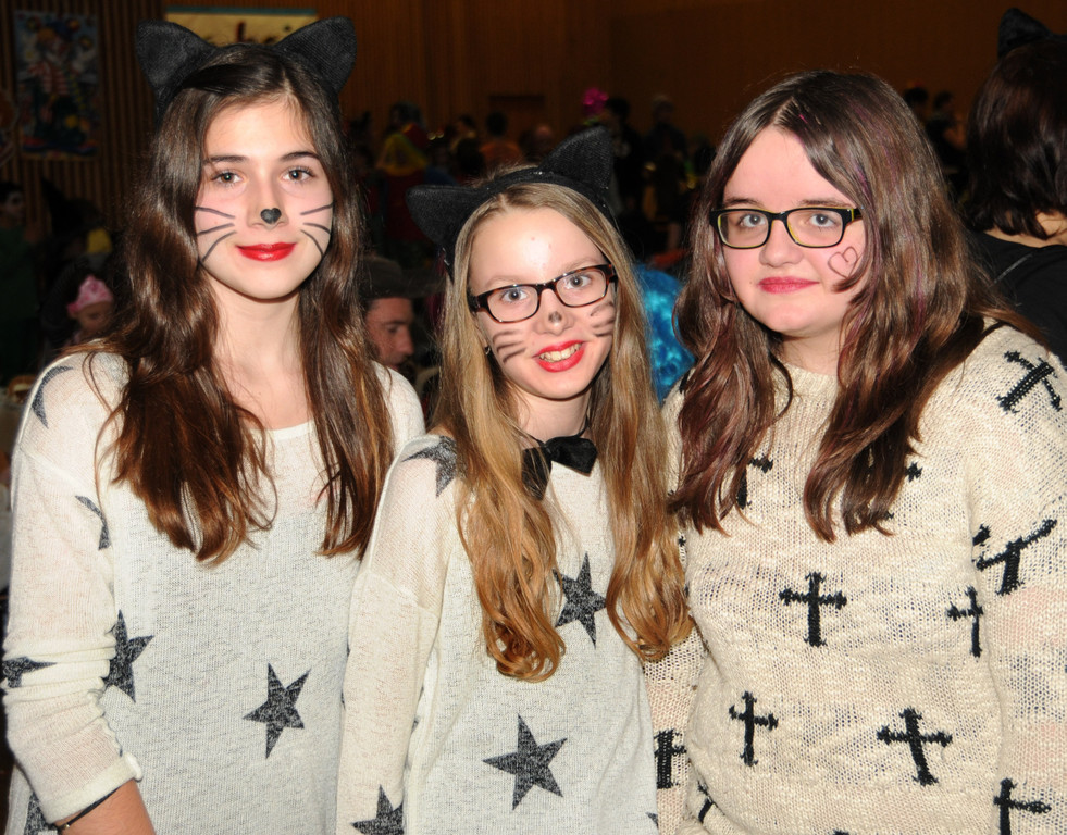 Kinderfasching Ho__chst 2014 48.jpg
