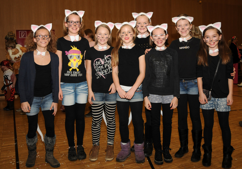 Kinderfasching Ho__chst 2014 111.jpg