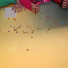 IMG_6394.JPG