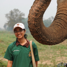 Elephant Vet - Kh Cherry.jpg