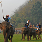 Four Seasons and King Power Battle it out.jpg