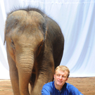 John Roberts _ Elephant.JPG