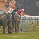 King_s Cup Elephant Polo - SOCO vs PWC.jpg