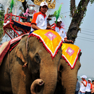 King_s Cup Elephant Polo - The Cup.jpg