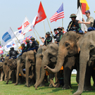King_s Cup Elephant Polo.jpg