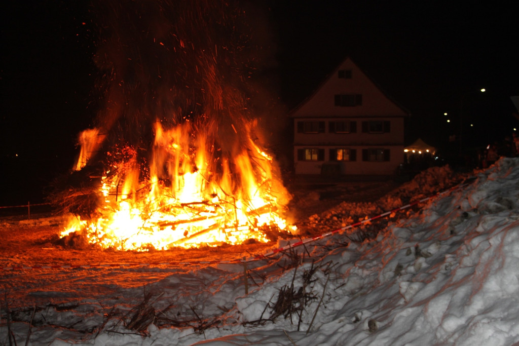 Funken Hofen 2013 _10_.jpg