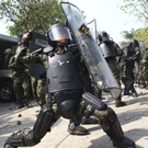 dc1-5txj7qdmhs613lvnq8hi_original.jpg