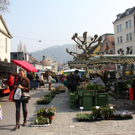 Umgestaltung des Kornmarktplatzes - VOL Live Umfrage