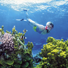 DAB0461-20120614.jpg