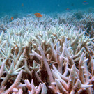 DAB0680-20120709.jpg