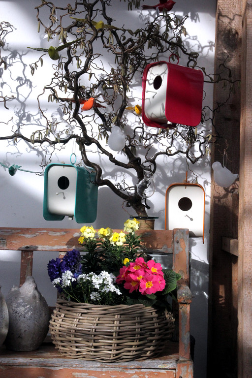 fruehling_4820 klein.jpg