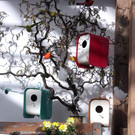 Frühling in KLaus