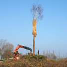 Funkenbau Fu__ach 07-03-2014 3.jpg