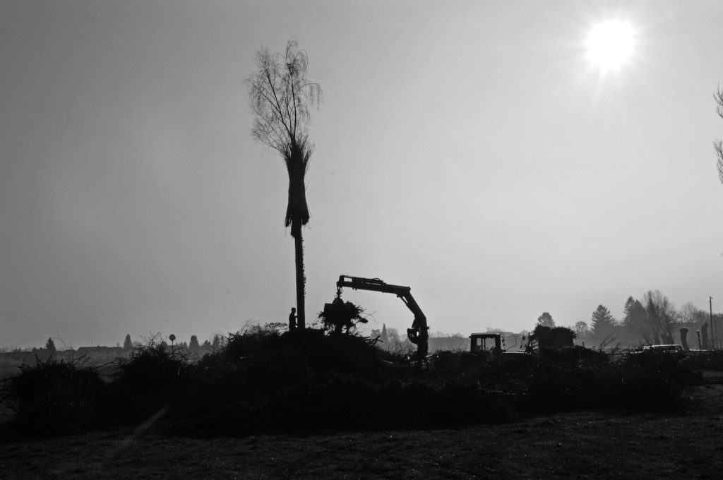Funkenbau Fu__ach 07-03-2014 12.jpg