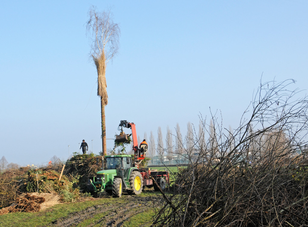 Funkenbau Fu__ach 07-03-2014 14.jpg