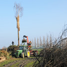 Funkenbau Fu__ach 07-03-2014 14.jpg