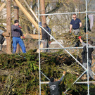 Funkenbau Gai__au 07-03-2014 30.jpg