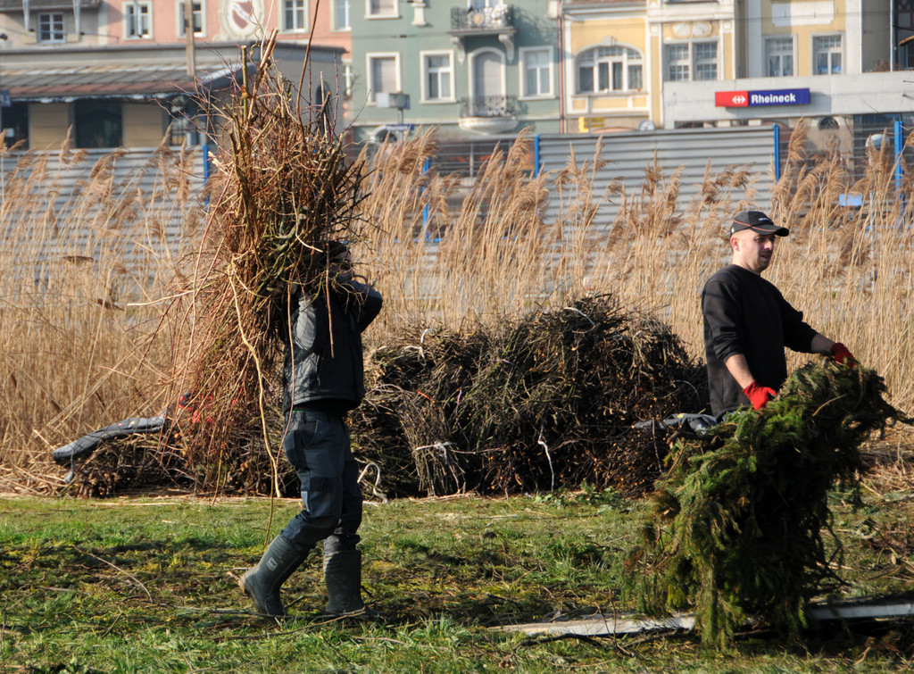 Funkenbau Gai__au 07-03-2014 34.jpg