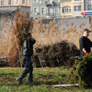 Funkenbau Gai__au 07-03-2014 34.jpg