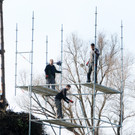 Funkenbau Gai__au 2 07-03-2014 27.jpg