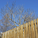 _DSC02470028_1_JPG-1270810532