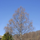 _DSC02490029_1_JPG-1270810555