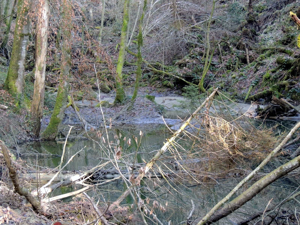DSCN5011.JPG