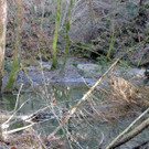  Brücke am Rickenbach