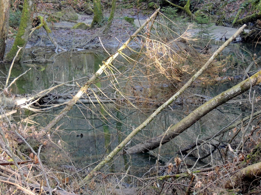 DSCN5012.JPG