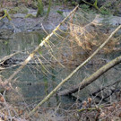 DSCN5012.JPG