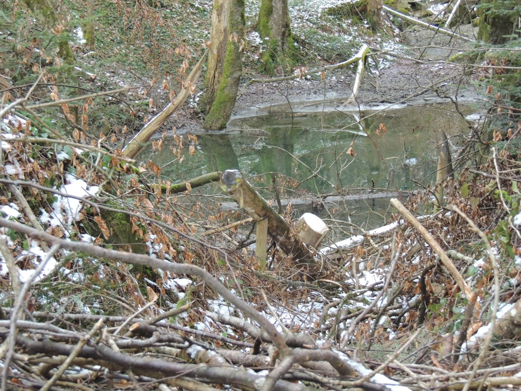 DSCN1205.JPG