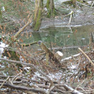 DSCN1205.JPG