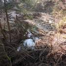 DSCN5013.JPG