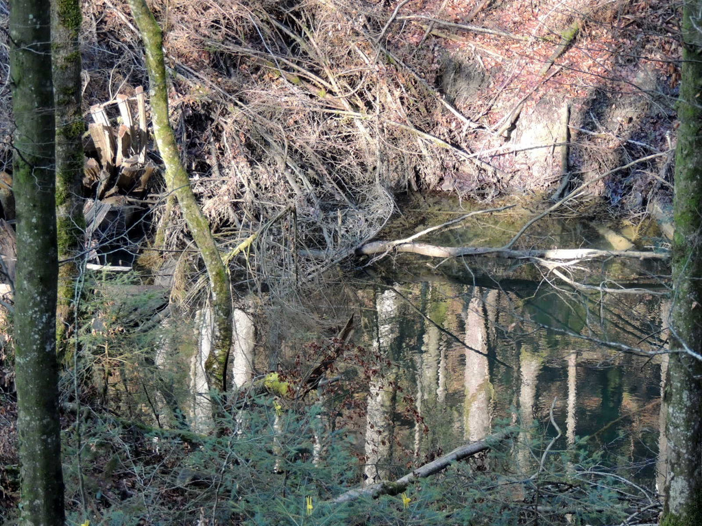 DSCN5016.JPG