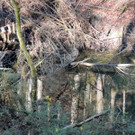DSCN5016.JPG