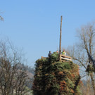 DSCN4947.JPG