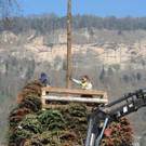 DSCN4956.JPG