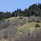 _DSC03060052_1_JPG-1270811196