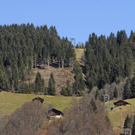 _DSC03210058_1_JPG-1270811402