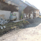 DSCN5346.JPG
