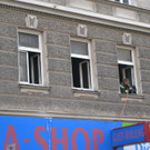 DSC_9507.JPG