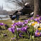 IBD0389-20140308.jpg