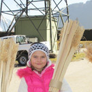 IMG_6463.jpg