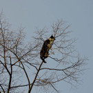 ABD0021-20140308.jpg